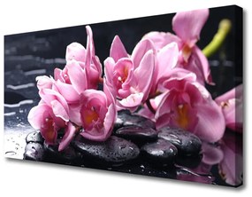 Vászonkép Virág orchidea növény 140x70 cm