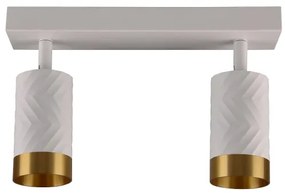 Spotlámpa ARRAS 2xGU10/10W/230V fehér