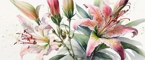 Kép - Liliomok, illusztrációk (120x50 cm)