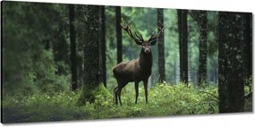 Vászonkép 150x70 Gyönyörű szarvas a fák között