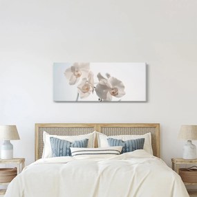 Fehér orchidea képe (120x50 cm)