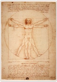 Poszterek 70x100 Vitruvius ember