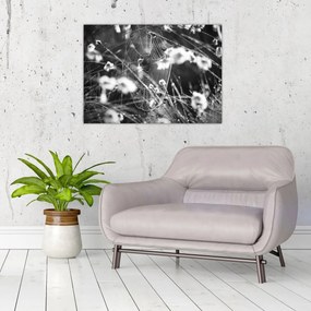Kép - Pókháló a réten (70x50 cm)