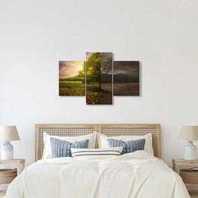 Kép - Életciklus (90x60 cm)