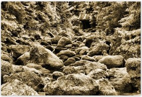 Poszterek 155x105 Tátra Lengyel hegyek Kilátás