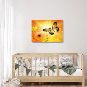 Kép - Sárga pillangó virággal (üvegen) (70x50 cm)