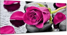 Vászonkép 180x90 Rózsaszín rózsa köveken