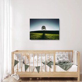 Természet kép - fa (üvegen) (70x50 cm)