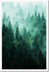 Poszter fehér keretben 40x60 Erdő Köd Tájkép Utazás
