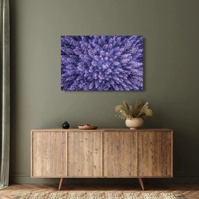 Havas fák képe (90x60 cm)