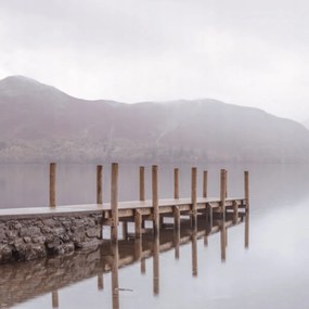 Poszter 80x80cm Fa móló a tóparton, Assaf Frank