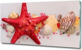 Fotó-üvegkép Tengeri csillag és kagylók 125x50