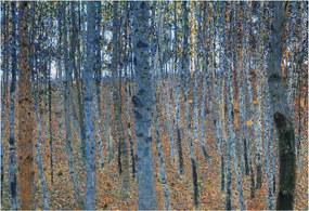 Dekoratív Fotótapéta Hálószobába Nyírerdő 152x104 Ragasztó