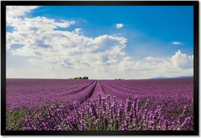 Poszter keretben 60x40 Levendula mező Levendula