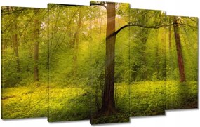 Vászonkép 100x60 Varázslatos erdő Tájkép