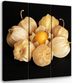 Vászonkép 90x100 Őszi szüret természet bogyók lampionok meleg