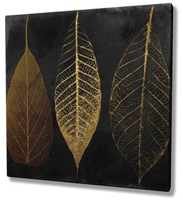 Vászon falikép, levelek,  45x45 cm, fekete - FEUILLES