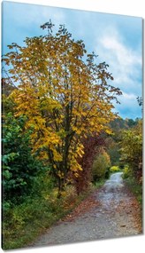 Festmények 80x120 Őszi fák