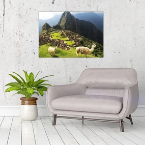 Üveg kép - Machu Picchu (70x50 cm)