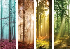 Fotótapéta Őszi erdő Természet színei Fény és árnyékok 254x184 vinil +ragasztó