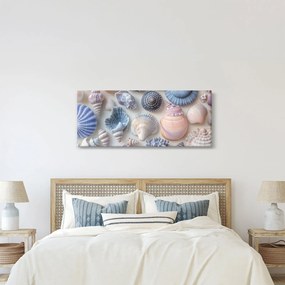 Kép - Kagylógyűjtemény (120x50 cm)