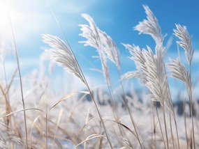 Poszter 40x30cm Zúgás a fű között