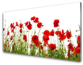 Akrilkép Pipacsok virágok természet Plant 100x50 cm
