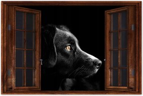 Poszterek 120x80 Négylábú barát