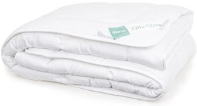 4Home Aloe Premium paplan és párna szett, 140 x 220 cm, 70 x 90 cm
