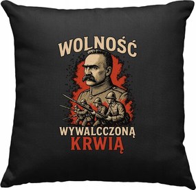 Piłsudski csodapárna a Visztula felett 1 Fekete