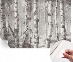 Fotótapéta Dekoratív Fali Tapéta Képekkel Nyírerdő 152x104