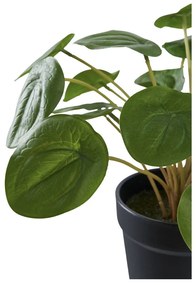 Pilea műnövény 28 cm