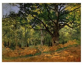 Claude Monet - The Bodmer Oak, Fontainebleau Forest kép másolat, 70 x 50 cm