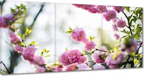 Vászonkép 180x90 Rózsaszín virágok Gyönyörű