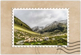 Poszterek 60x40 Juh legeltetés Bárányok