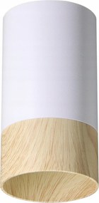 Falra szerelhető mennyezeti lámpatest Candellux 15 W GU10 fehér