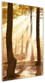 Üvegfotó Erdő ősszel osv-140215873