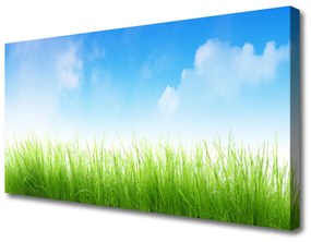 Vászonkép nyomtatás Grass Nature Plant 100x50 cm