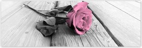 Poszterek 200x66 Rózsa világos deszkákon