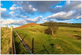 Poszterek 120x80 Tájkép réttel