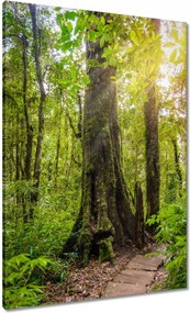 Vászonkép 70x100 Gyalogtúra