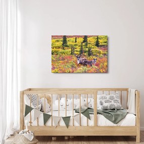 Kép - Caribou, Alaszka (90x60 cm)