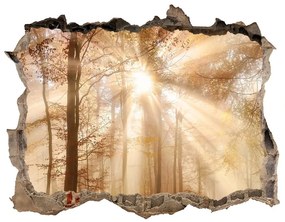 Fali matrica lyuk a falban Köd az erdőben ősszel nd-k-119225469
