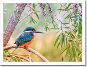 Poszterek keretben 40x30 Pihenés munka közben