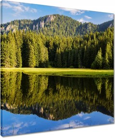 Vászonkép 50x50 Hegyi táj gyönyörű felhőkkel Fák a hegyekben