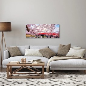 Kép - Hirosaki, Japán (120x50 cm)
