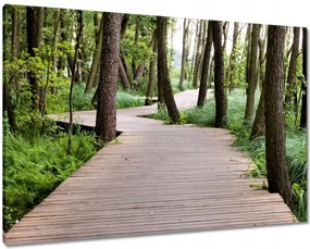 Våszonkép 100x70 Park Wolsztynban