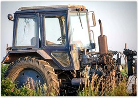 Poszterek 100x70 Régi traktor a mezőn