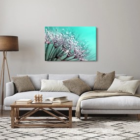 Kép - harmatos növény (90x60 cm)