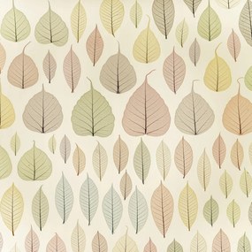 Poszter 30x30cm Csontváz levelek, Assaf Frank